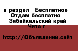  в раздел : Бесплатное » Отдам бесплатно . Забайкальский край,Чита г.